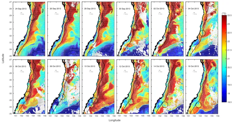 Figure 12. SST (AVHRR L3S) and geostrophic velocity remote sensed images from 24 September 2013 to 16 October 2013 every second day over southeastern Australia, showing the propagation of the frontal eddy presented in Figures 1 and 13