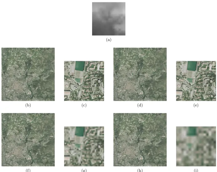 Figure 8: Approximation images corresponding to 3.18 m DEM error when level-L 0 transformed DEM is embed- embed-ded in lowest 3L 0 + 1 subbands of level-4 transformed Cr texture: a) Level-1 approximate DEM having 3.18 m error, b) Level-1 approximate textur