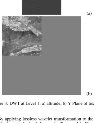 Figure 4.a shows an altitude map reconstructed from the coefficients extracted from a level 1 image of approximation (LL) of the embedded texture image