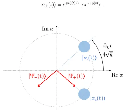 Figure 1.18 – Repr´ esentation dans le plan de Fresnel de l’´ etat du syst` eme atome-champ