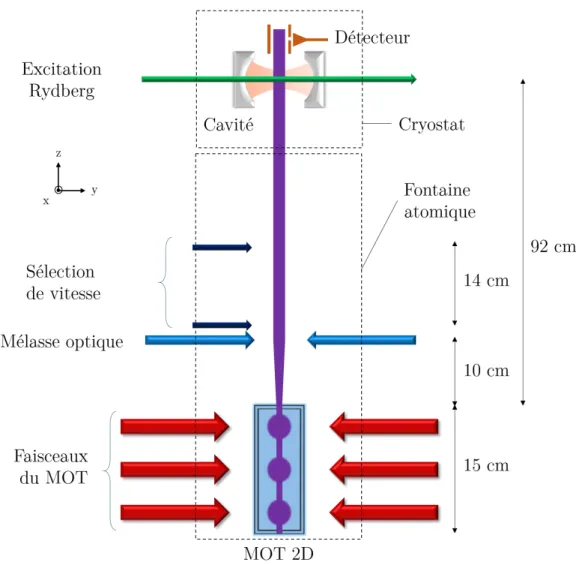 Figure 2.1 – Sch´ ema du dispositif exp´ erimental (pas ` a l’´ echelle) sur lequel sont pr´ esent´ es la zone de la fontaine atomique et la zone cryog´ enique o` u le coeur exp´ erimental est situ´ e.