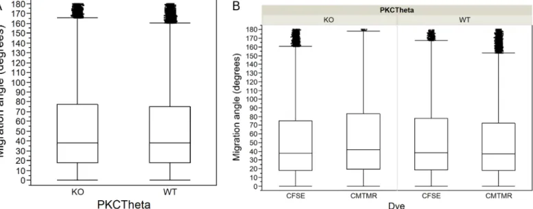 Fig 4. T cell migration angle in WT and PKC θ -/- motility in mouse lymph nodes. Box-plots showing step-based migration angles calculated from 2P microscopic observation of PKC θ -/- (KO) and wild-type (WT) T cells: A) Migration angles for KO and WT T cell