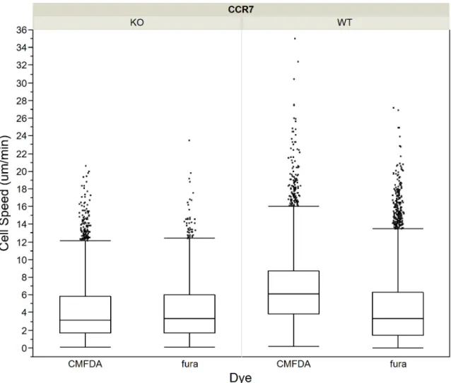 Fig 5. Cell speeds in WT and CCR7-/- T cell motility in mouse lymph nodes, by cell type and dye