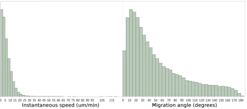 Fig 2. Distribution of step-based T cell speeds and migration angles in mouse lymph nodes