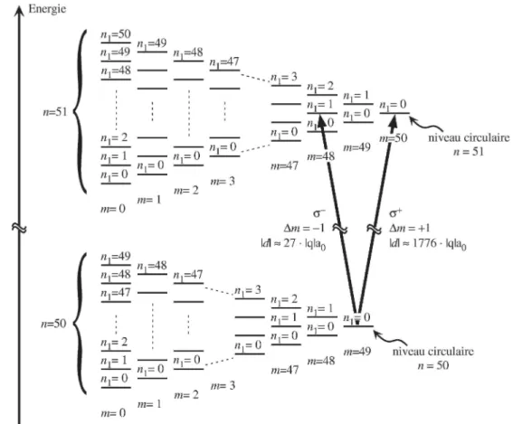 Fig. I.12 Diagramme d’énergie des niveaux | e ê ≡ | 51C ê et | g ê ≡ | 50C ê , dans un champ électrique statique