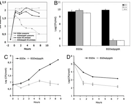 Fig. 2. Effect of lysozyme on growth and impaired survival in macrophages of the pgdA mutant