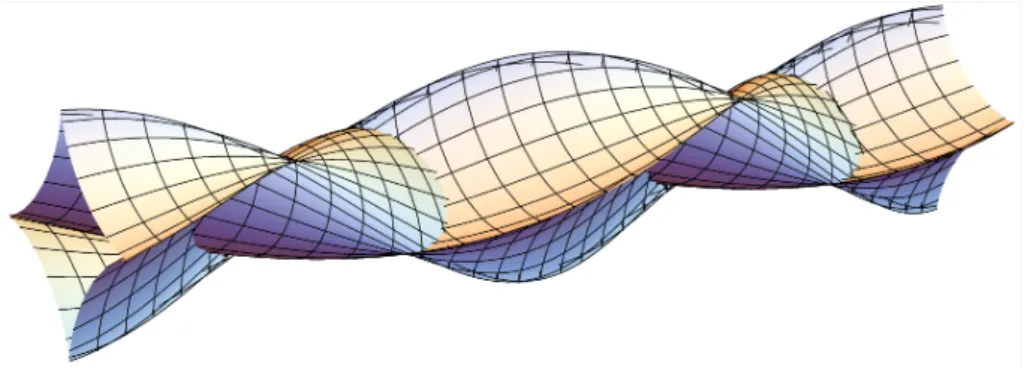 Figure 1: Section of the caustic of a 5-dimensional sub-Riemannian manifold, at a point of the manifold chosen so that it exhibits A 4 singularities