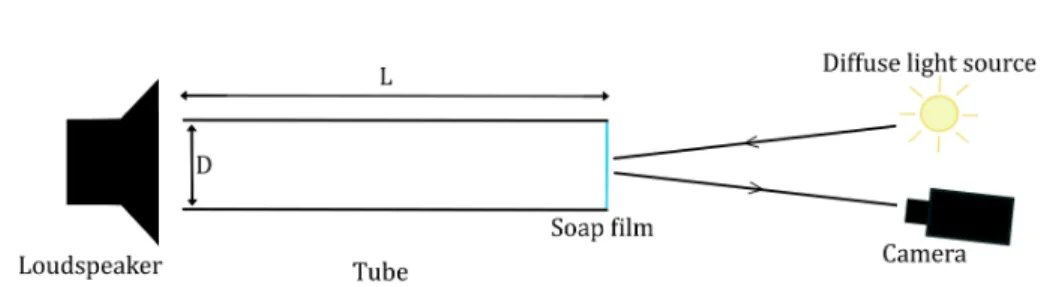 Figure 3: Sketch of the experimental set-up. The diffusive light source is obtained using a table lamp and a diffusive screen made of tracing paper between the lamp and the soap film.