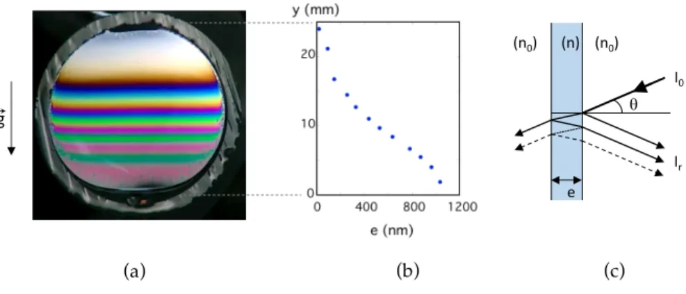 Figure 5: (a) Photograph of a soap film without any acoustic forcing (colours online): the soap film is vertical and displays a variation of colours,  corre-sponding to a thickness gradient due to the gravitationally driven drainage.