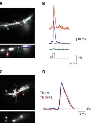 Figure 4. Sensitivity of optical recording using digital holography patterned illumination