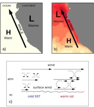 Fig. 1.9 A scheme of some hypothesis proposed to explain the wind intensifica- intensifica-tion off the Peru coast during El Niño (courtesy of F