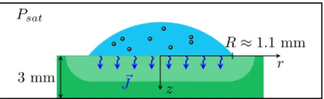 Figure 1: Experimental setup. A drop is dispensed on an absorbing hydrogel in an environment saturated in vapor to prevent evaporation