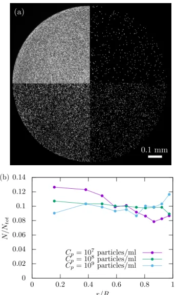 Figure 3: (a) Final deposit for four initial concentrations (from the top right, in the clockwise order): C p = 2 × 10 6 , 10 7 , 10 8 and 10 9 particles/ml