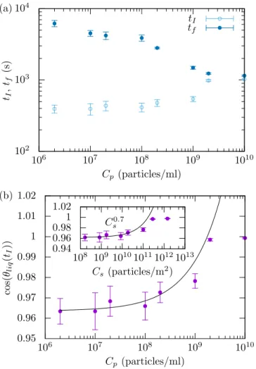 Figure 8: Data for 0.2 µm diameter particles. (a) Dura- Dura-tions of regime I, t I , and of the total absorption time t f