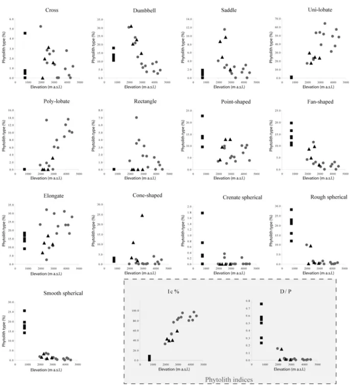 Figure III. 4. Abundances of the 13 phytolith types counted and phytolith indices Ic* and 