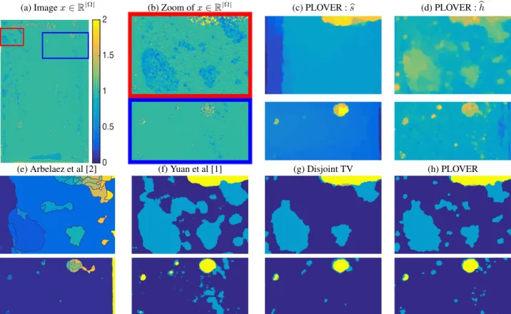 Fig. 3: Multiphase flow image (a) and zooms (b). PLOVER estimates for local variance (c) and regularity (d)