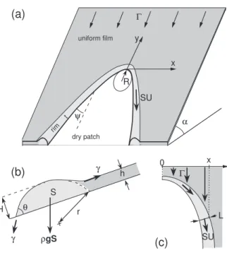 FIG. 7: Notations used in our models. (a): schematic of the flow, ( b): section of the liquid rim surrounding the dry patch and (c): sketch detailing the mass conservation for the rim.