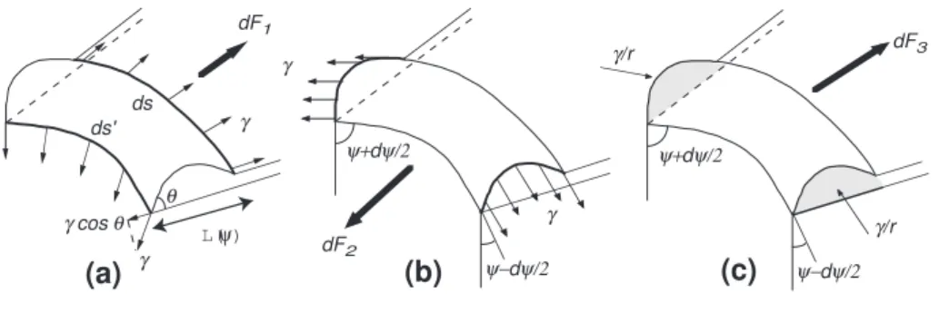 FIG. 8: Capillary effects and their resulting forces dF 1 , dF 2 et dF 3 on a segment of the rim.