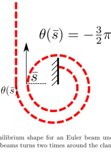 Fig. 12. Example of an “impossible” equilibrium shape for an Euler beam under distributed load: Proposition 1 proves that such a deformed shape, in which the beams turns two times around the clamp, cannot be an equilibrium conﬁguration