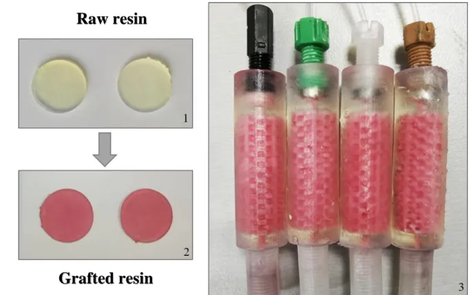Figure S1: Pictures of 3D printed objects during grafting steps (1: raw resin disks; 2: grafted  522 