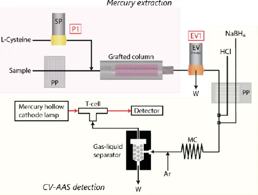 Figure  1:  Flow  system  for  mercury  determination  with  CV-AAS  detection  [P1:  solenoid  micropump;  PP: 