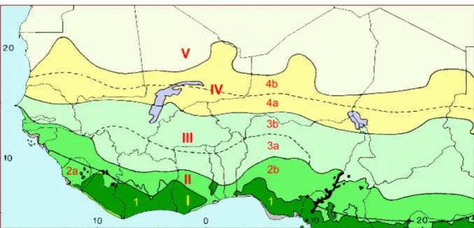 Figure I-22 : Carte de la distribution de la végétation d’Afrique de l'Ouest dressée par White (1981, 1986) 