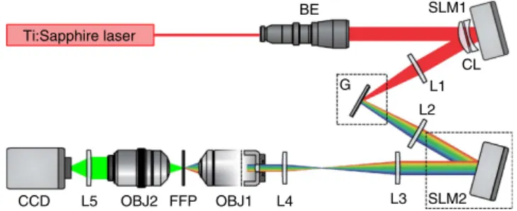 Figure 1 | Experimental set-up for 3D-CGH-TF. The output beam of a Ti:Sapphire laser is magniﬁed using a beam expander (BE) and projected on a ﬁrst SLM (SLM1)