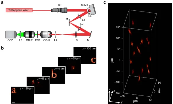 Figure 4 | 3D-CGH. (a) Schematic of the optical set-up for 3D-CGH. In this case the diffraction grating G and SLM2 were replaced by mirrors.