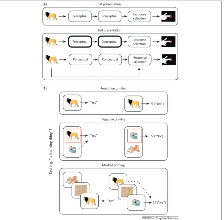 Figure 1. Schematic of component processes, stimulus–response (S–R) bindings, and priming paradigms