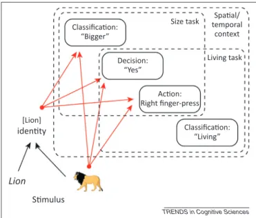 Figure 2. Possible stimulus–response (S–R) binding. Schematic of a possible structured S–R binding formed by giving a response to a picture of a lion during a binary ‘bigger than shoebox?’ categorization task, where red lines indicate bindings