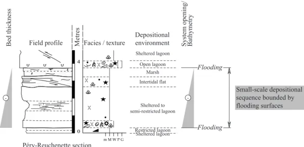 Fig. 4.5: Thinning- and shallowing-up small-scale depositional sequence bounded by flooding surfaces