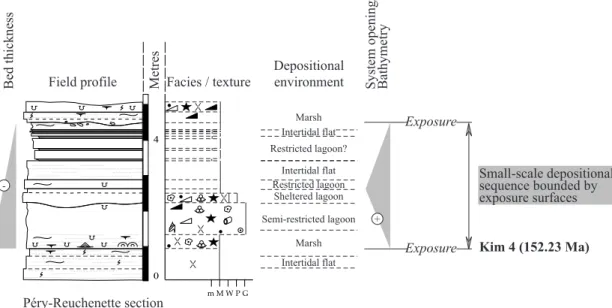 Fig.  4.6:  Small-scale  depositional  sequence  bounded  by  exposure  surfaces.  Small-scale  depositional  sequence  bounded by exposures appear close to the sequence boundaries of long-term depositional sequences, like Kim 3 and  Kim 4