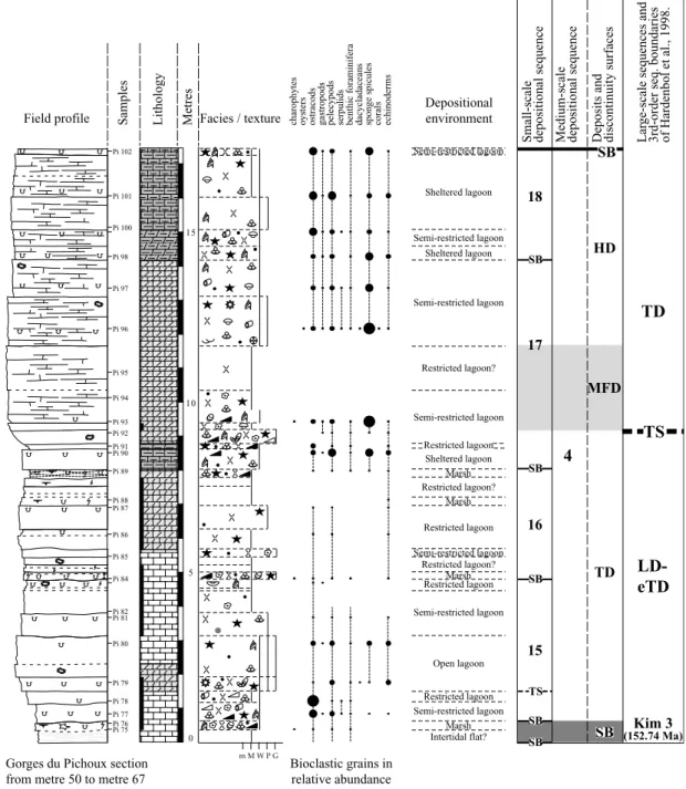 Fig. 4.7: Thickening- and deepening medium-scale depositional sequence. Such sequences appear in the LD-eTD  and  the  beginning  of  the  TD  of  long-term  sequences