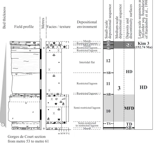 Fig. 4.8:  Thinning- and shallowing-up medium-scale depositional sequence. This type appears in  the highstand deposit of long-term sequences