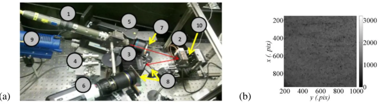 Figure 1 : (a) Configuration expérimentale (voir le texte principal pour les descriptions de chaque  élément numéroté) (b) Surface d’échantillon avec une surface pré-oxydée et les niveaux de gris 