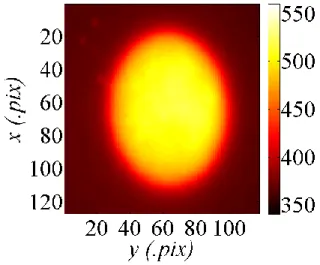Figure 2 : Chargement thermique au maximum de la sollicitation 