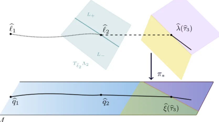 Figure 2. Invertibility at t = τ b 3 . L + (respectively, L − ) denotes the half space of all δℓ 2 ∈ T ℓ b