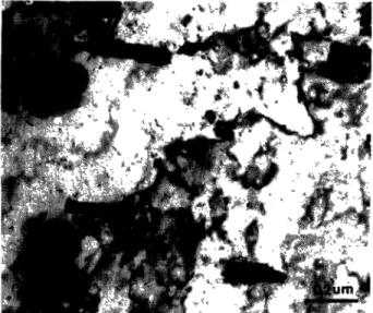 Fig.  5.  -  Image  de  réseau  d’un film de  silicium de  50  nm  d’épais-