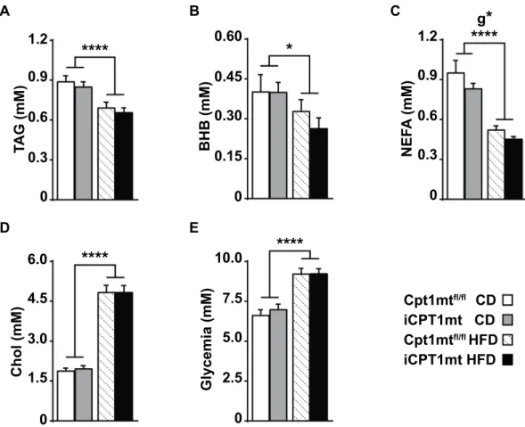 Figure 6.  iCPT1mt mice have reduced circulating non-esterified fatty acid (NEFA) levels compared to  Cpt1mt fl/fl  control mice