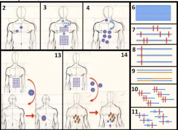 Fig.  1.  Some VIRAPOPS  options.  2.  Sequence  input.  3.  Number  of  generations.  4