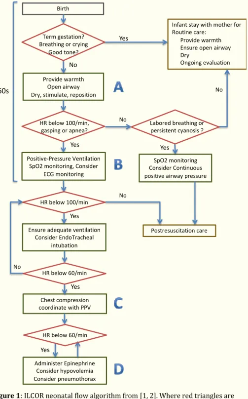 Figure 1: ILCOR neonatal flow algorithm from [1, 2]. Where red triangles are  evaluation actions and green boxes are resuscitation actions