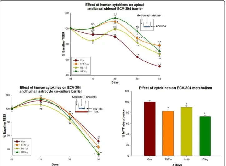 Figure 6 Effect of human cytokines in ECV-304 mono-culture barrier and ECV-304/HFA co-culture barrier