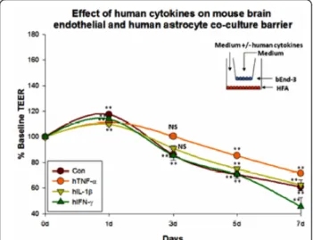 Figure 3 Effect of mouse cytokines (TNF-a (20 ng/ml), IL-1b (20 ng/ml) and IFN-g (1000 U/ml)) on mouse brain endothelial metabolism