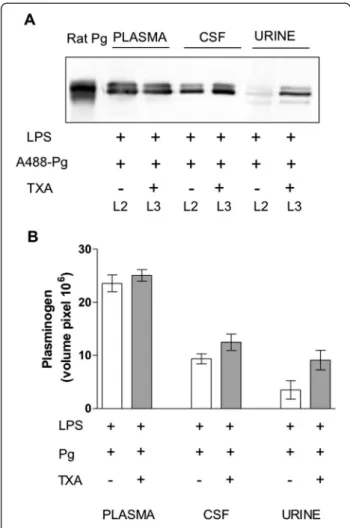 Figure 6 Quantification of plasminogen in human cerebrospinal fluid. Cerebrospinal fluid (CSF) samples were collected from patients with Guillain-Barré syndrome (GBS, n = 15), multiple sclerosis (MS, n = 19) and noninflammatory neurological disease (NIND, 