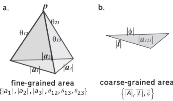 FIG. 10. Given angles φ ij , φ ik , φ jk at point p of a tetrahedron, we could obtain the dihedral angle θ ij,k 