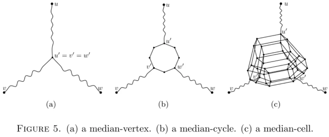 Figure 5. (a) a median-vertex. (b) a median-cycle. (c) a median-cell.