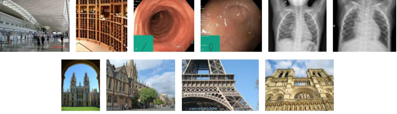 Fig. 2. Images of the datasets used in the experiments: MIT 67 indoor scenes, Kvasir intestine images, chest X-ray for pneumonia recognition, Oxford and Paris landmarks.