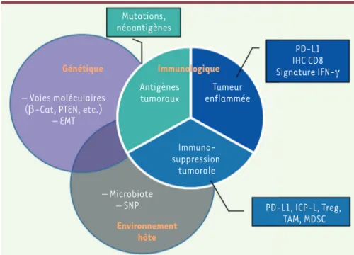 Figure 3. Biomarqueurs tumoraux et immuno- immuno-logiques proposés pour prédire une meilleure  réponse à l’immunothérapie