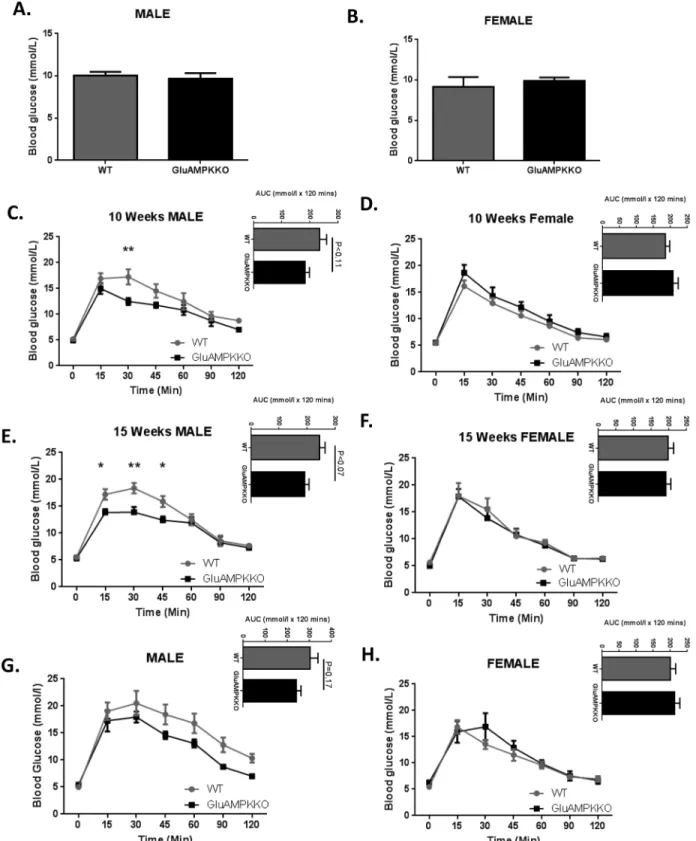 Fig 2. AMPK α 1 and - α 2 deletion in proglucagon expressing cells improves glucose tolerance after oral administration of glucose in male mice but is unchanged after glucose injection