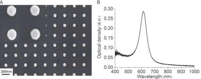 Figure 1 ( A ) shows the SEM image of a typical AuNP array obtained by this technique and ﬁ gure 1 ( B ) depicts the corresponding spectrum